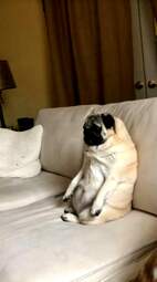 i-am-a-photographer-tiktok-trend-funny-65323821af95b700-654480a4ac3634182f48987f