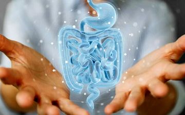 آلزایمر صرفا یک بیماری مغزی نیست