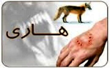 "واکسیناسیون تا حذف هاری" شعار مقابله با قدیمی‌ترین بیماری عفونی