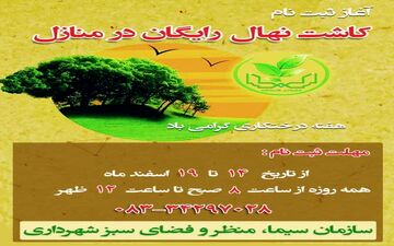 آغاز ثبت‌نام توزیع و کاشت نهال رایگان میوه در منازل