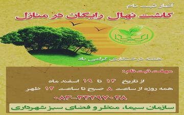 آغاز ثبت‌نام توزیع و کاشت نهال رایگان میوه در منازل