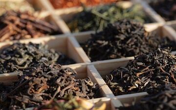 صادرات چای ایرانی به ارزش 15 میلیون دلار

