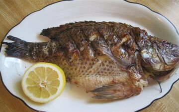ماهی پرطرفدار تیلاپیا چه بلایی بر سر شما می‌آورد؟+ فیلم 
