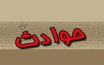 آلوچه قاتل یک دختر شد