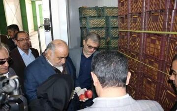 بازدید استاندار کرمانشاه از سردخانه نگهداری میوه شب عید/مردم نگران تأمین مایحتاج عمومی خود در عید نوروز  نباشند