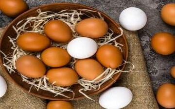 رابطه مصرف تخم مرغ با بیماری قلبی و عروقی