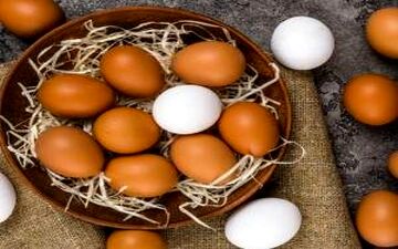 رابطه مصرف تخم مرغ با بیماری قلبی و عروقی