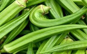 گیاهی شفابخش برای دیابتی‌ها