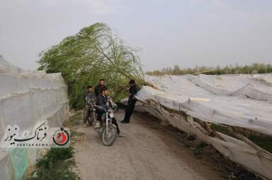 خسارت وارده به زراعت استاد اصفهان 