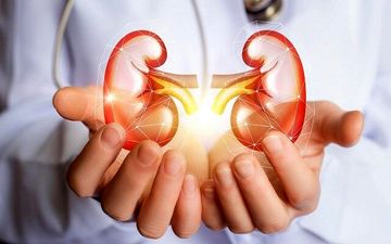 چند اصل  مهم برای مراقبت از کلیه ها
