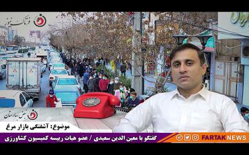 وزیر قول داده اند تا قبل از آغاز ماه مبارک رمضان بخش اعظمی از مشکلات بازار مرغ را مرتفع کنند