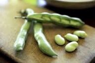 باقلا ، از فواید بی نظیر تا عوارض آن!

