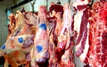 میزان عرضه گوشت گوسفندی از روز شنبه چند برابر شد 