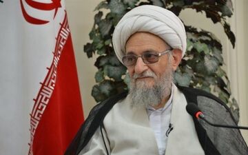 واکنش آیت‌الله عالمی به اصرار برخی افراد برای ورود به بارگاه رضوی / این اقدام جاهلانه است
