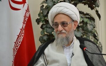 واکنش آیت‌الله عالمی به اصرار برخی افراد برای ورود به بارگاه رضوی / این اقدام جاهلانه است
