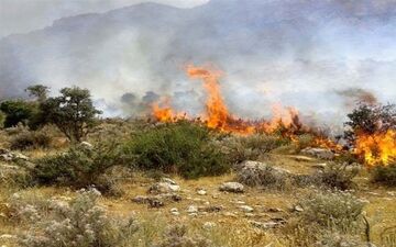 مهار آتش‌سوزی در منطقه حفاظت‌شده دیل