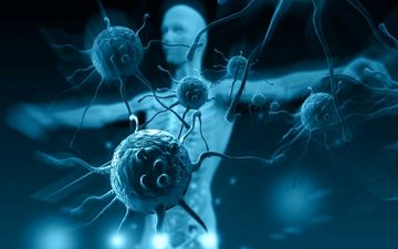 چگونه سیستم ایمنی بدن را تقویت کنیم؟
