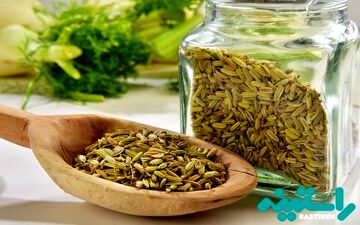 این افراد لب به رازیانه نزنند!