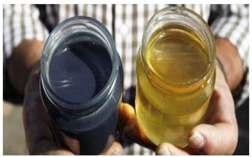 زنبورهایی که عسل آبی رنگ تولید میکنند