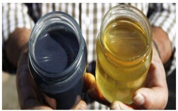 زنبورهایی که عسل آبی رنگ تولید میکنند