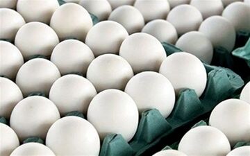 قیمت انواع تخم مرغ در بازار + جدول 
