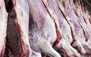 قیمت روز گوشت قرمز امروز | نرخ انواع گوشت ۱۵ شهریور ۱۴۰۴