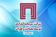 تحلیل سبد دارایی‌های «ومعادن»؛ کدام سرمایه‌گذاری‌ها سودآورند؟