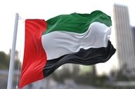 ادعای یک رسانه غربی درباره ورود هواپیمای اماراتی به تهران 