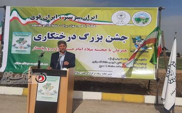 بهبود کیفیت آب در گروه درختکاری و اتلاف آن نیز در گرو عدم پوشش درخت است