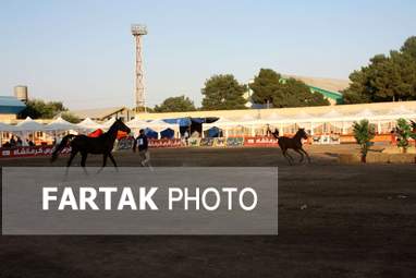  چهارمین جشنواره ملی زیبایی‌های اسب (تاق‌بستان)  جشنواره اسب اصیل کُرد