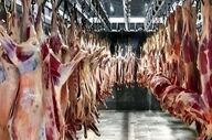 ثبات قیمت‌های گوشت قرمز در بازار امروز ۷ شهریور ۱۴۰۵