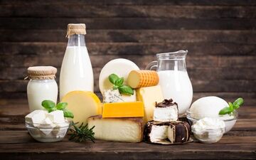 شیر، ماست یا کشک؟ کدام را بخوریم بهتر است؟