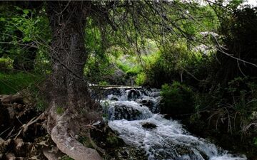  جاذبه های گردشگری کهگیلویه و بویراحمد؛ از غار ده شیخ تا رود رونه