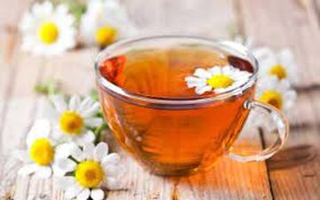 ۳ گیاه مفید برای رفع تشنگی در ماه رمضان 