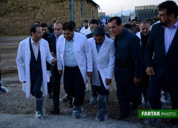 گزارش تصویری بازدید از گاوداری 1000رأسی کاوات در روستای حسن آباد از توابع شهرستان روانسر