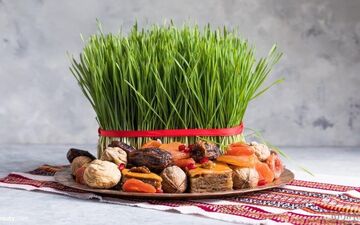 معجزه سبزه عید! آموزش کاشت سبزه با رشد 3 روزه
