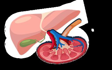 بیماران دیابتی به شدت مراقب سلامت کلیه هایشان باشند!