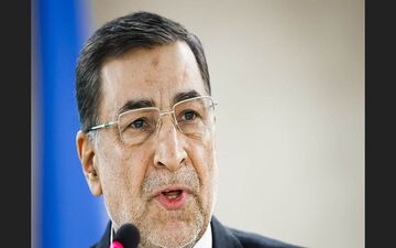 مبارزه بی‌امان با قاچاق کالا نیاز اساسی کشور
