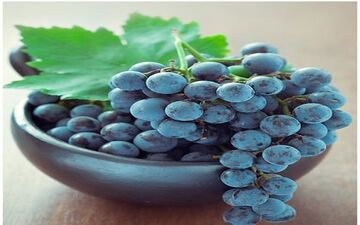  این میوه ی لذیذ تابستانی مخصوص دیابتی هاست