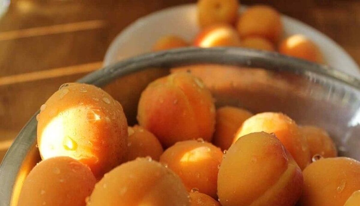 خوردنی های زرد را جدی بگیرید