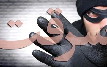 سرقتی باورنکردنی؛ فرار از طلافروشی با الاغ! + ویدئو