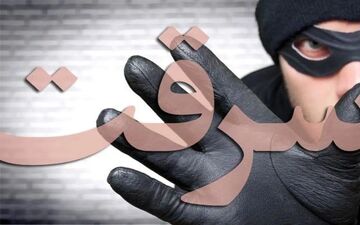 سرقتی باورنکردنی؛ فرار از طلافروشی با الاغ! + ویدئو