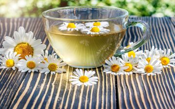 چای بابونه؛ دمنوشی آرام‌بخش با خواصی فراتر از تصور