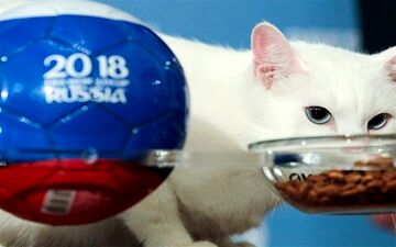 پیش‌بینی برنده بازی فرانسه و بلژیک توسط گربه ناشنوای روسی