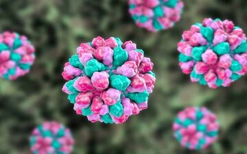 
هشدار ملی انگلیس در مورد شیوع ویروس زمستانی
