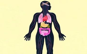 تاثیرات ویرانگر افسردگی و اضطراب بر بدن 
