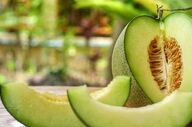 پاسخ به سوالات رایج درباره مصرف طالبی و تأثیر آن بر کنترل وزن