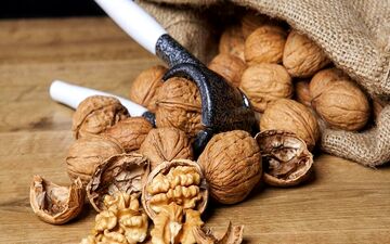 خاصیتی از گردو که شما را شوکه می‌کند/ کمتر کسی آن را می‌داند