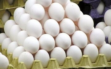  تازه‌ترین جزییات از افزایش عجیب قیمت تخم‌مرغ 