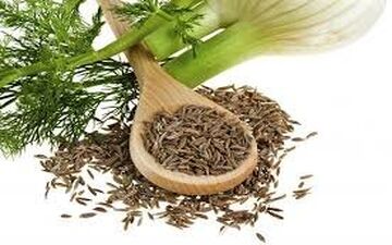 بررسی اثر رازیانه بر تخمدان پلی کیستیک